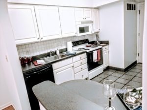Uptown Shaker Apartments Kitchen